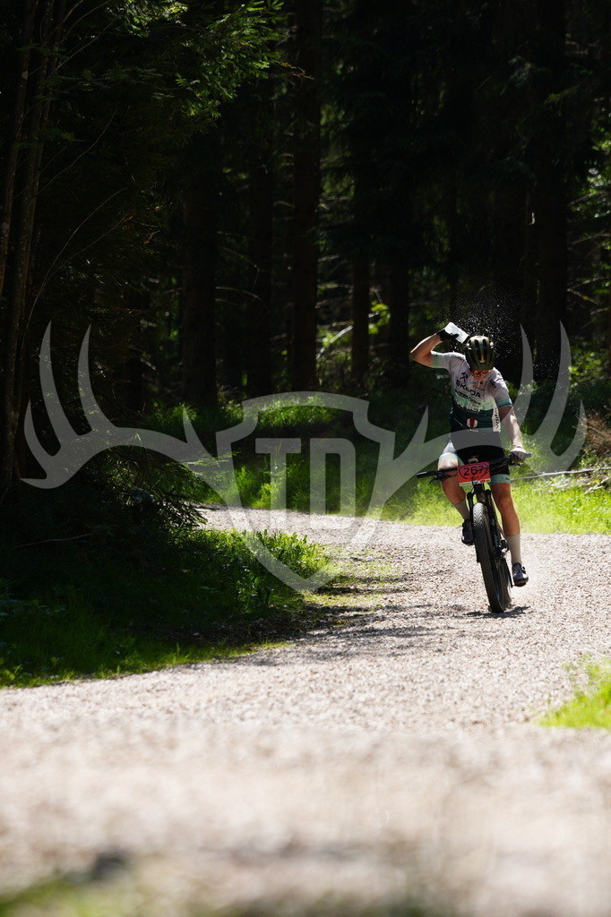 FC605575 | Fotogalerie der Treibjagd im Dunkelwald - Dein MTB Etappenrennen im Erzgebirge - Realisiert mit Pictrs.com