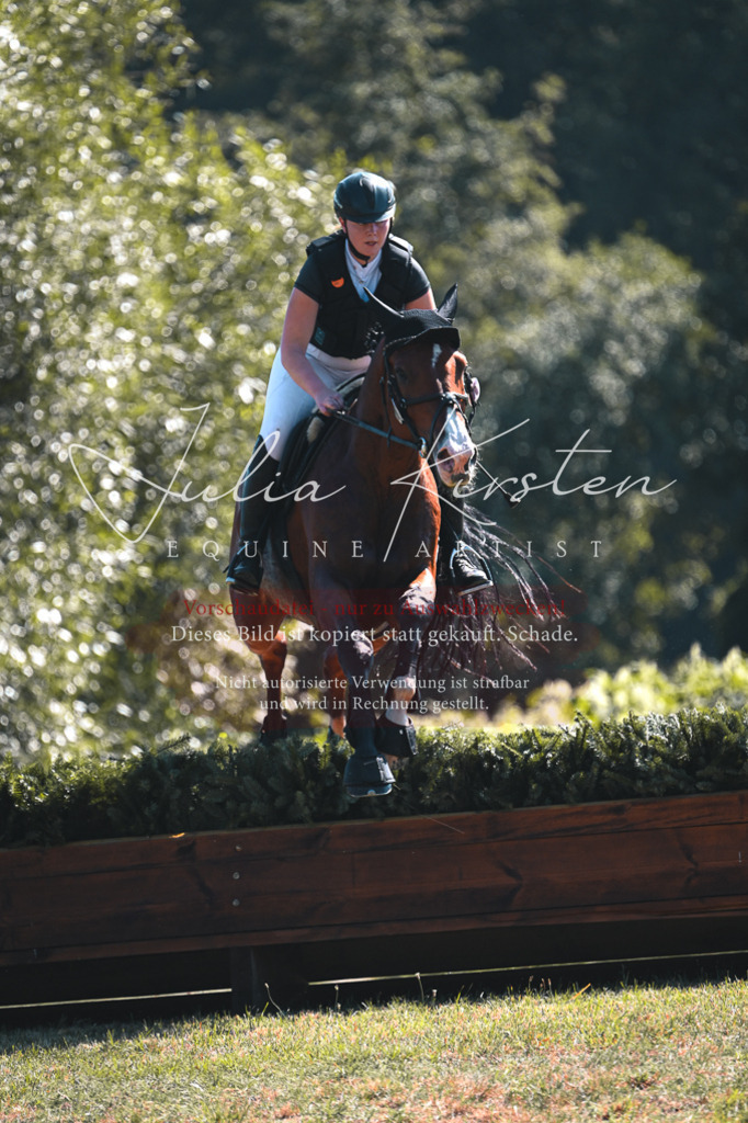 DSC_8137 | Pferde- und Turnierfotografie in Westsachsen. Pferdeportraits, Auftragszeichnungen und intuitive Kunst.