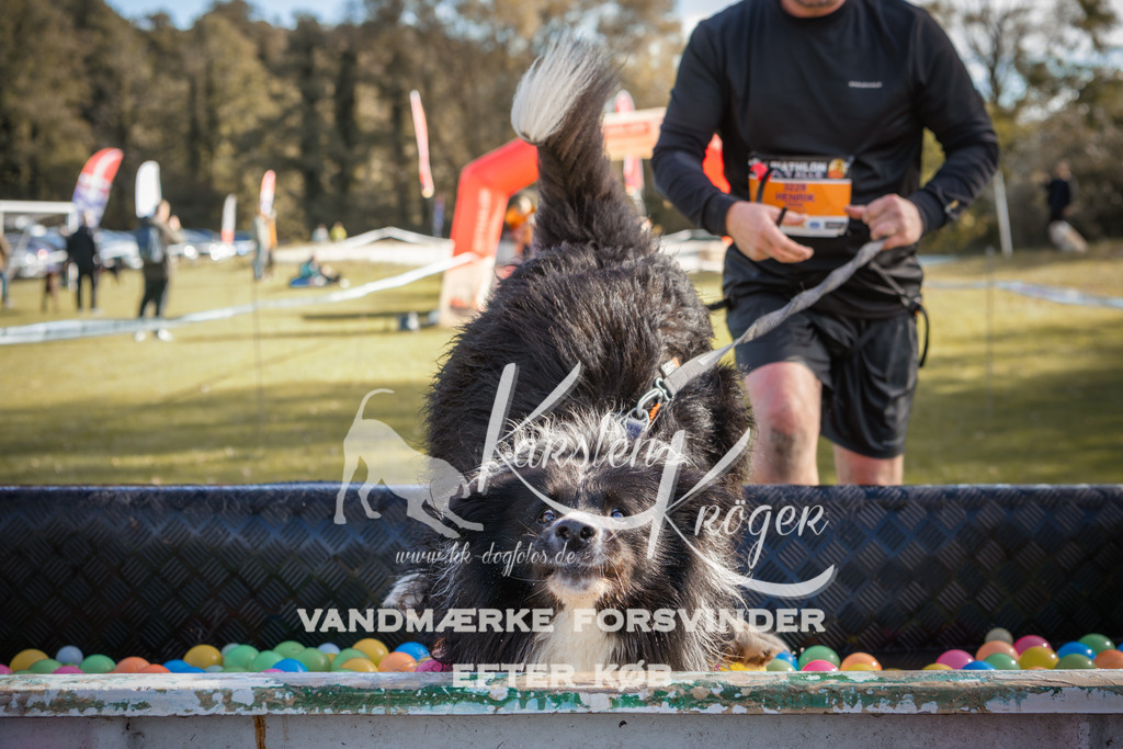 1307_ZZ99126-2 | kk-dogfotos