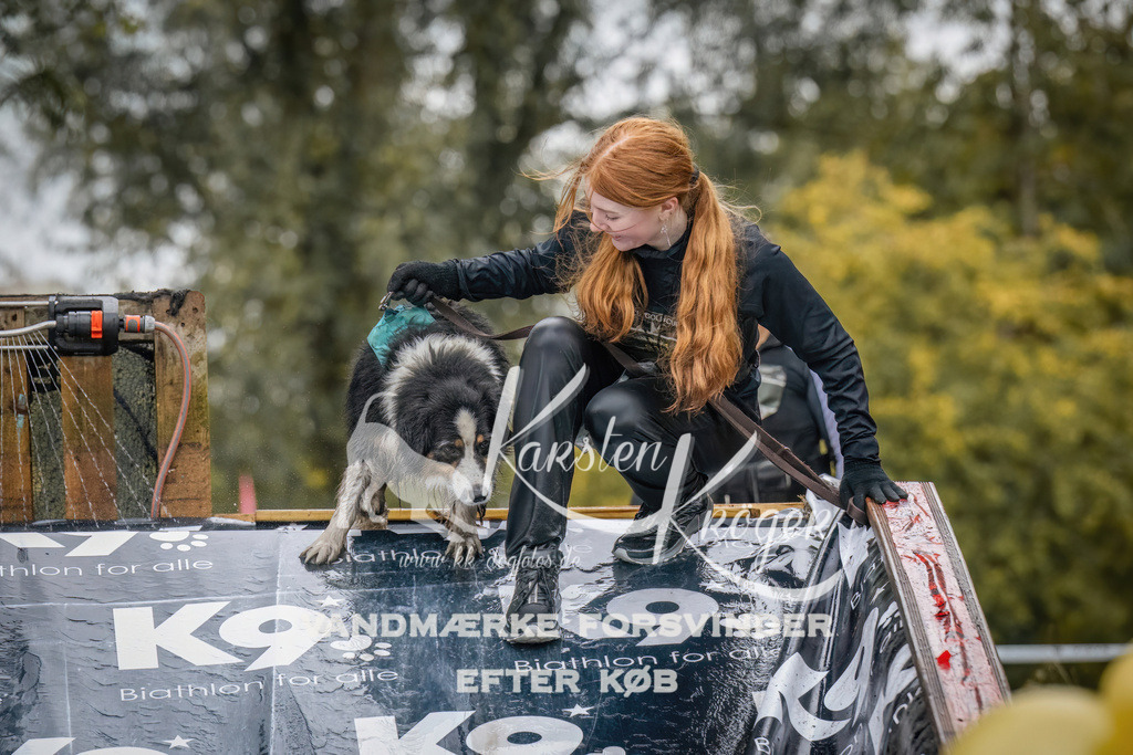 1243_ZZ90383 | kk-dogfotos