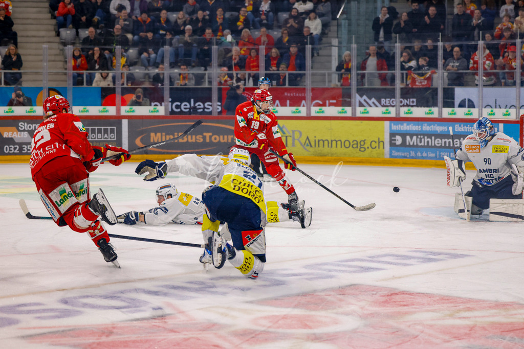 EHCB vs HCAP 20260115_wb-4547 | Sportbilder, Sportfotograf, Hochzeits- und Eventfotografin, Flugshows, Portraits und Tiershooting, Aviation, Downhill, Nationalleague, Swissleague, International