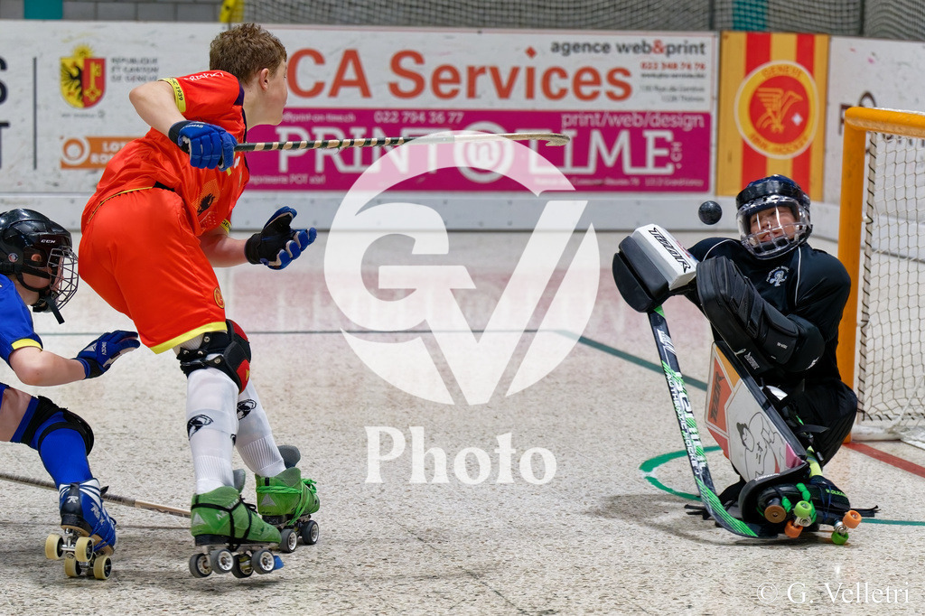 DZ8_3056 | Velletri Photo