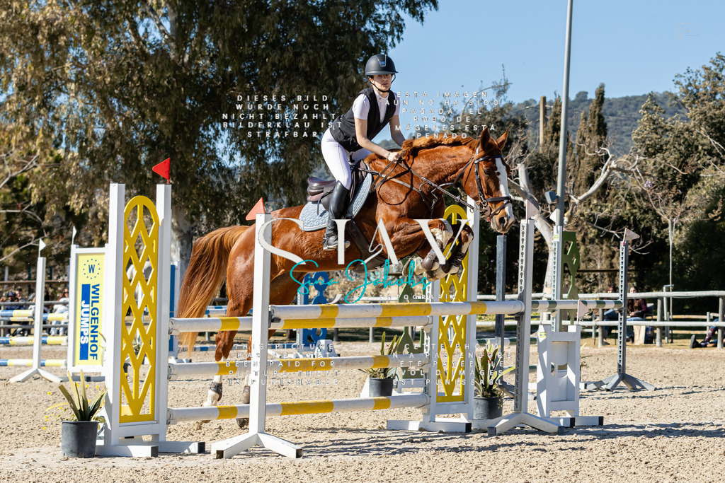 IMG_1031 | s-jay-photography - Realisiert mit Pictrs.com