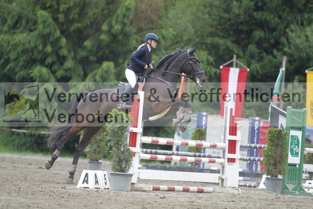 _MG_8654 | equestrian-live-com