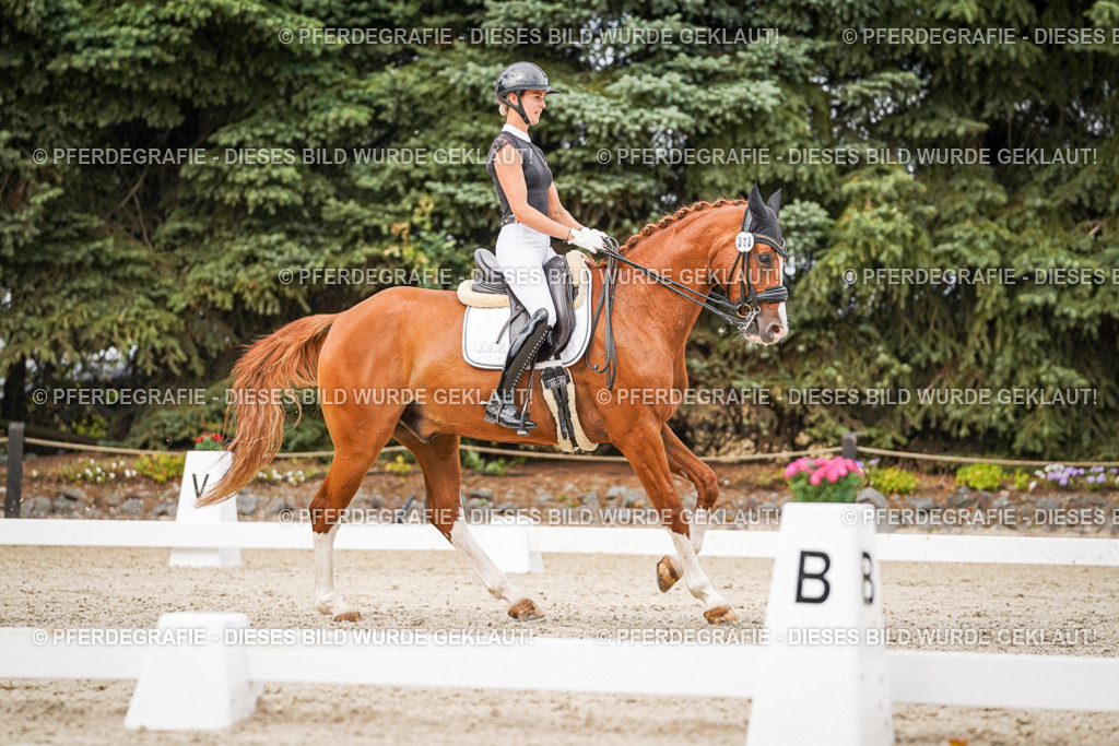 DSC07895 | Pferdegrafie