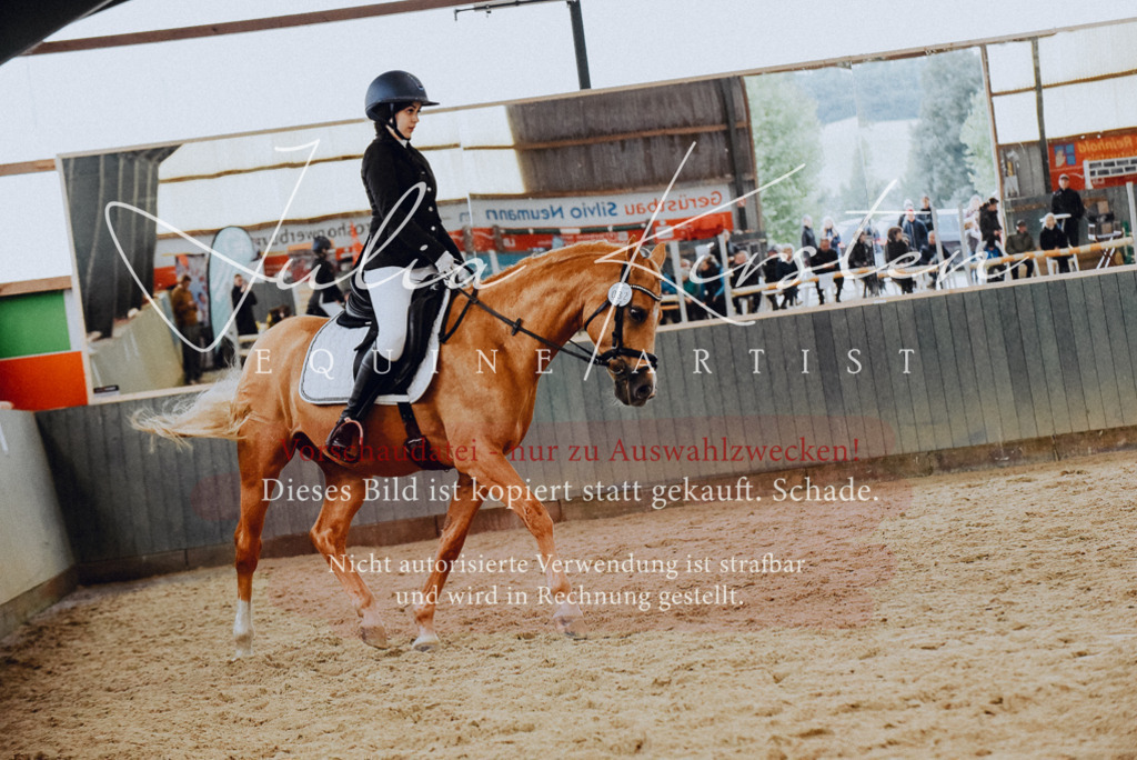 DSC_7236 | Pferde- und Turnierfotografie in Westsachsen. Pferdeportraits, Auftragszeichnungen und intuitive Kunst.