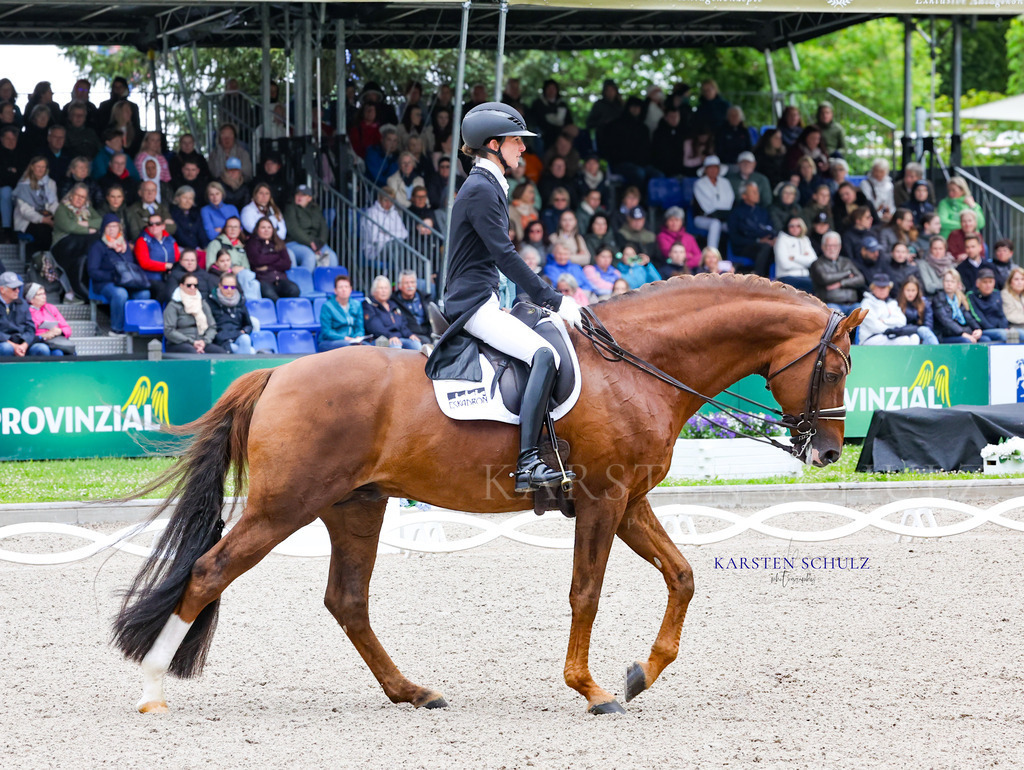 1B3A7664 | Reitsport Reiten