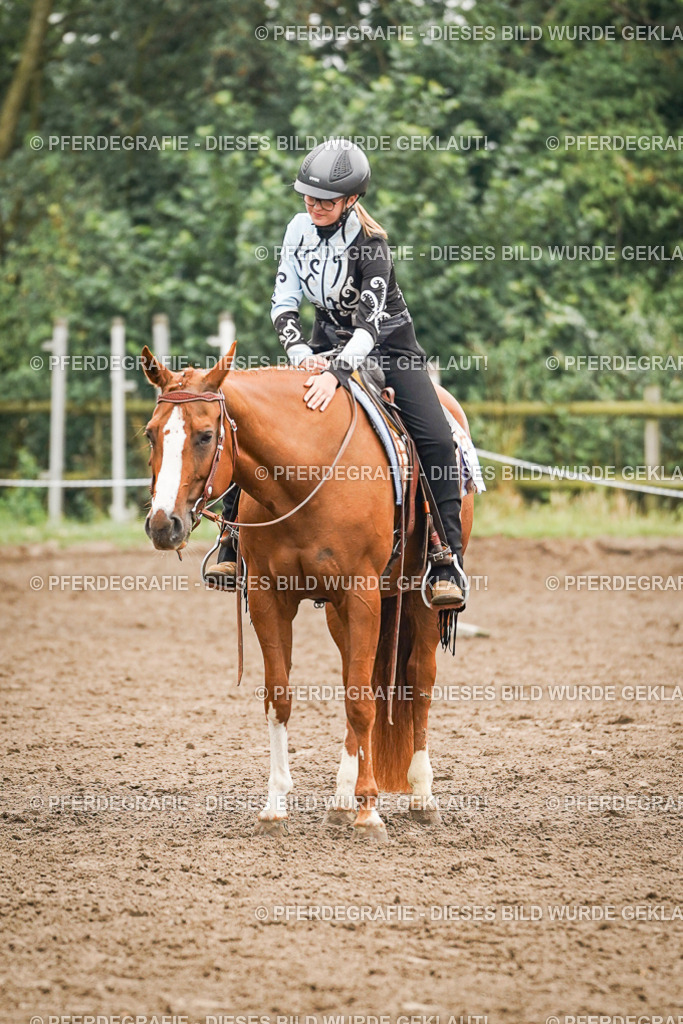 DSC02065 | Pferdegrafie