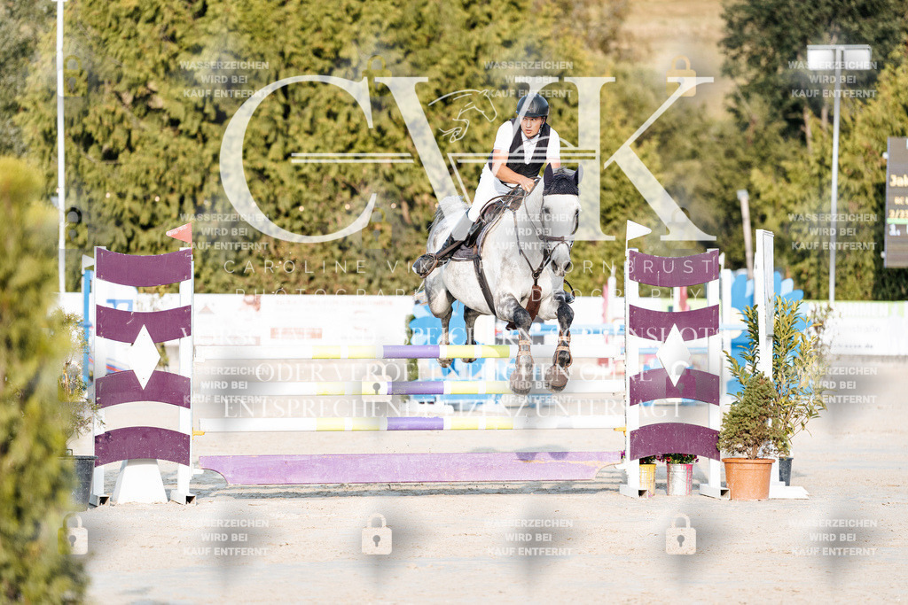 CK900616 | Turnierfotografie Pferdefotografie Trier Rheinland-Pfalz Pferdesport Reitsport Tierfotografie Sportfotografie Pferdevideo Pferdevideografie Equestrianvideography equestrianphotography  - Realisiert mit Pictrs.com