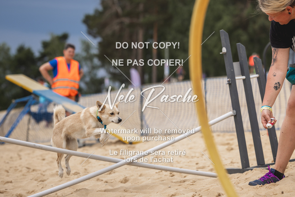 nelerasche_BuHu2026_So1330-1430_124 | nelerasche