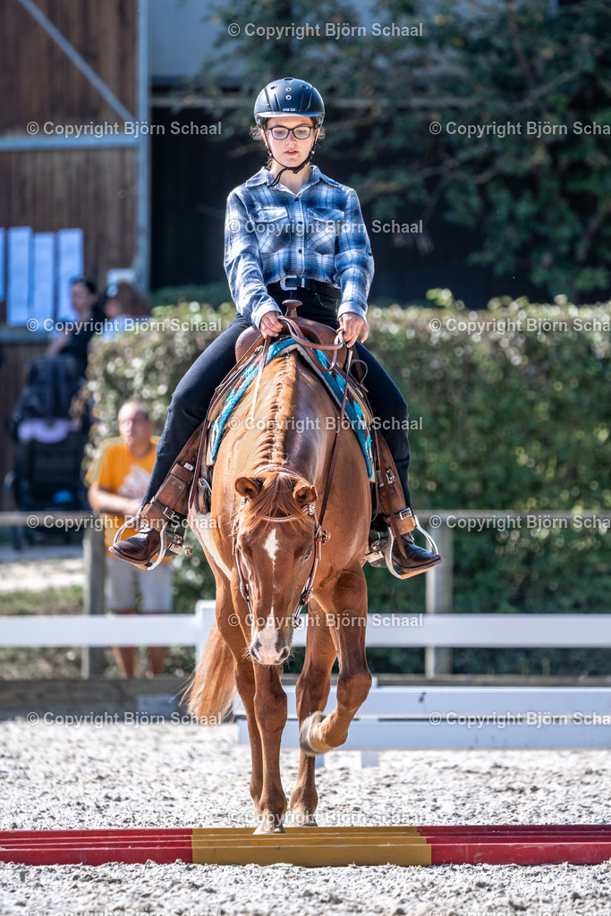 HOB09012 | BS-foto