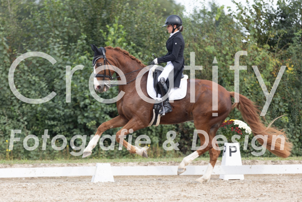 IMG_4759 | Creatify Fotografie