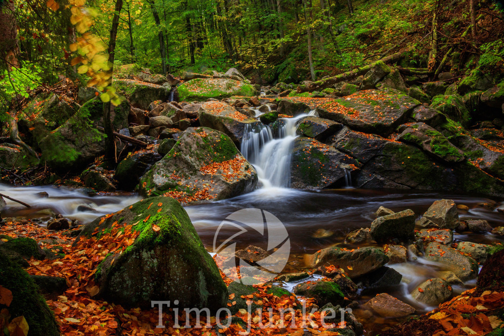 Shop_Citys-0363 | junker-foto - Realisiert mit Pictrs.com