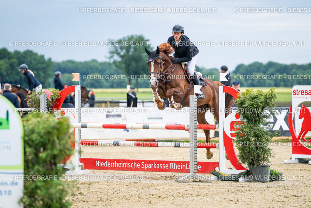 DSC04483 | Pferdegrafie