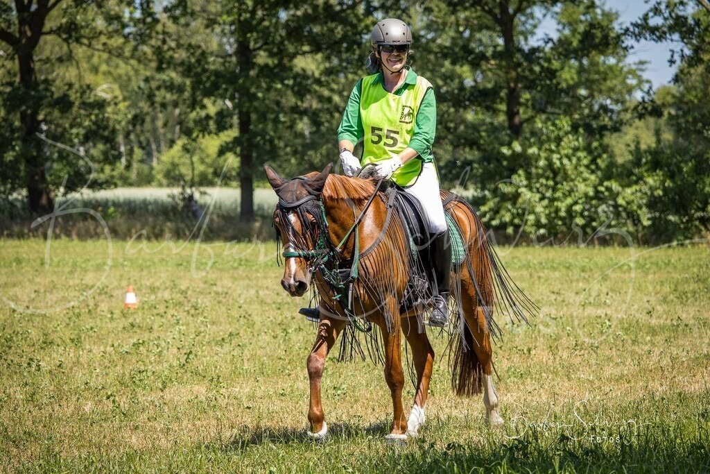CJP_2026-06-26_31 | Stimmungsvolle Fotografie von Pferden, fotografische Begleitung von Veranstaltungen, Golfturnieren und Distanzritten - Realisiert mit Pictrs.com