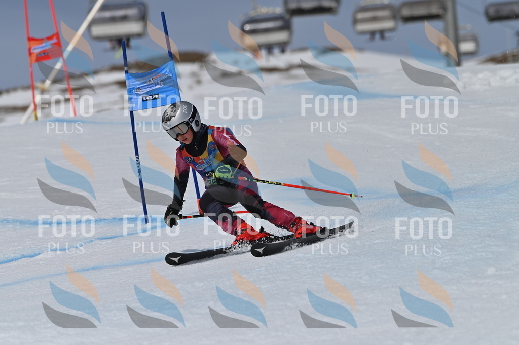 BGV_6894 | holidayphoto