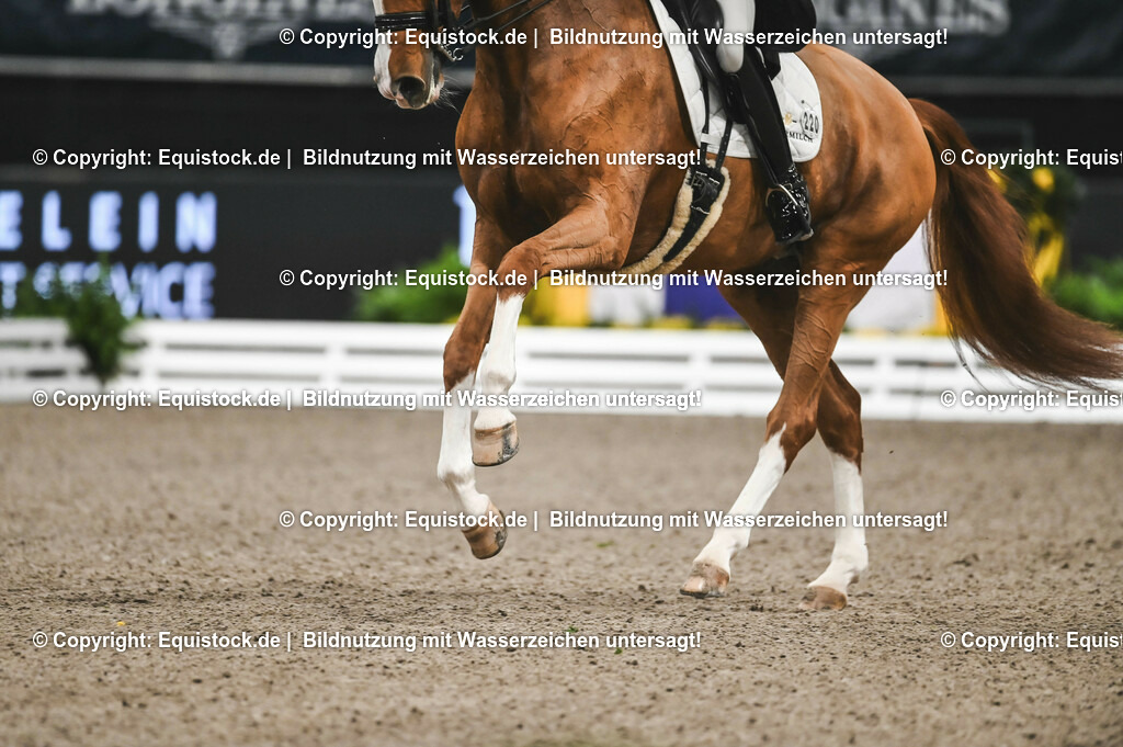 20231117_Impressionen_0155_TOMsPiC | Foto: Thomas Hartig