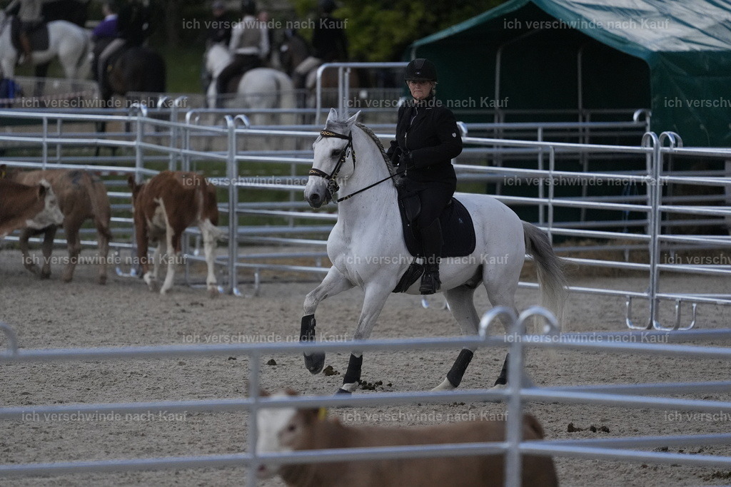 PI26_COW_Stoibphotography_DSC5438.JPG | working equitationturnier fotograf videograf stoibphotography marixx film working equitation deutschland reitsport turnierfotografie eventfotografie equestrian events