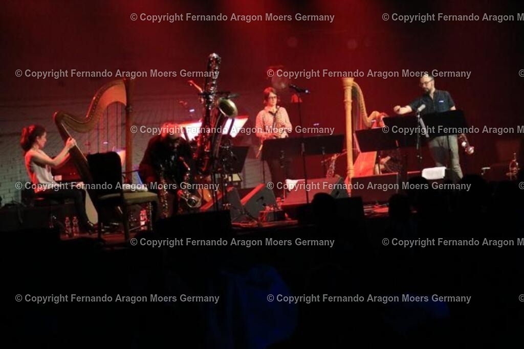 IMG_4576 | aragon-pics - Realisiert mit Pictrs.com