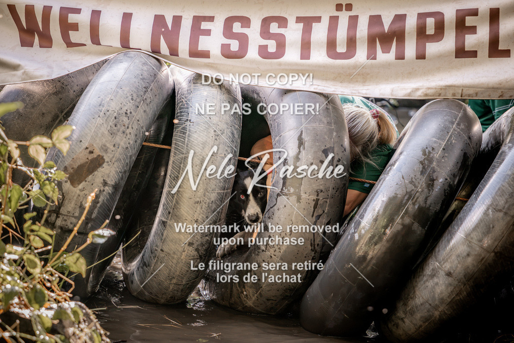 nelerasche_Hunsrück2026_Sa1400-1500_426 | nelerasche