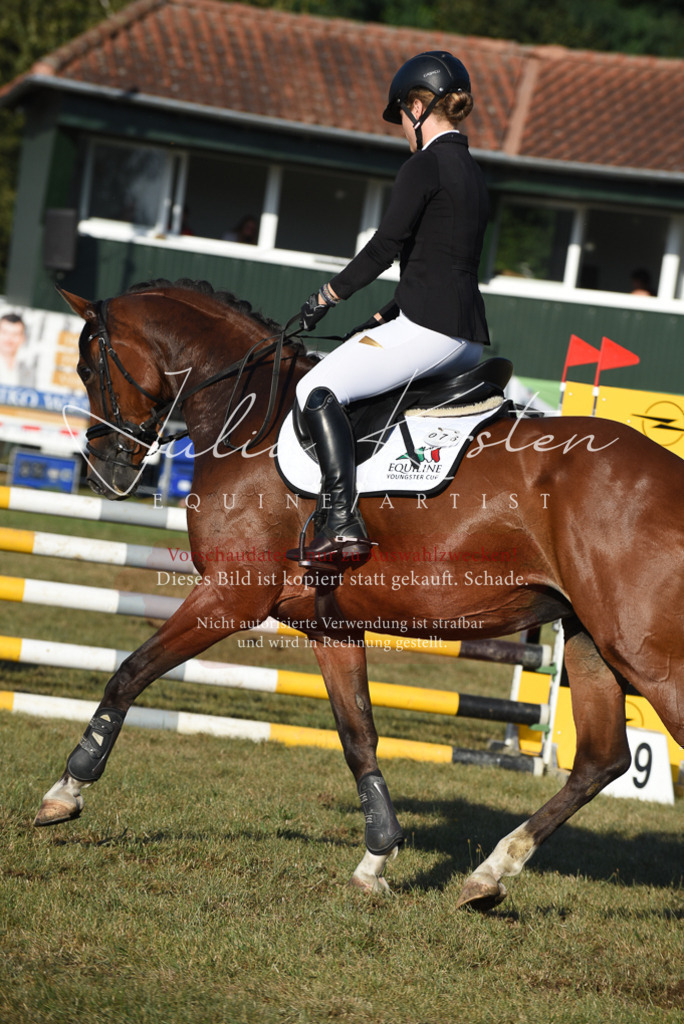 DSC_5086 | Pferde- und Turnierfotografie in Westsachsen. Pferdeportraits, Auftragszeichnungen und intuitive Kunst.