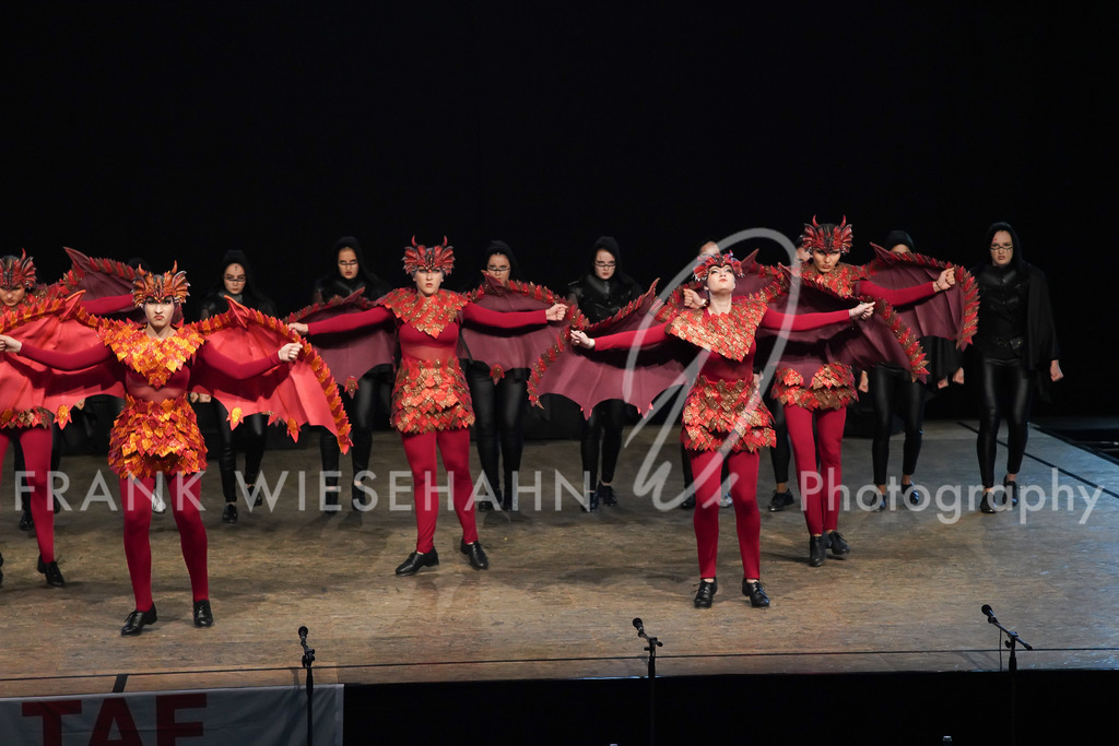 steppdm22_3211 | FRANK WIESEHAHN MEDIA - Realisiert mit Pictrs.com