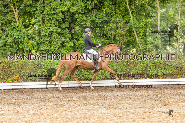 RPF Filsum (136 von 167) | mandyhollmannphotographie