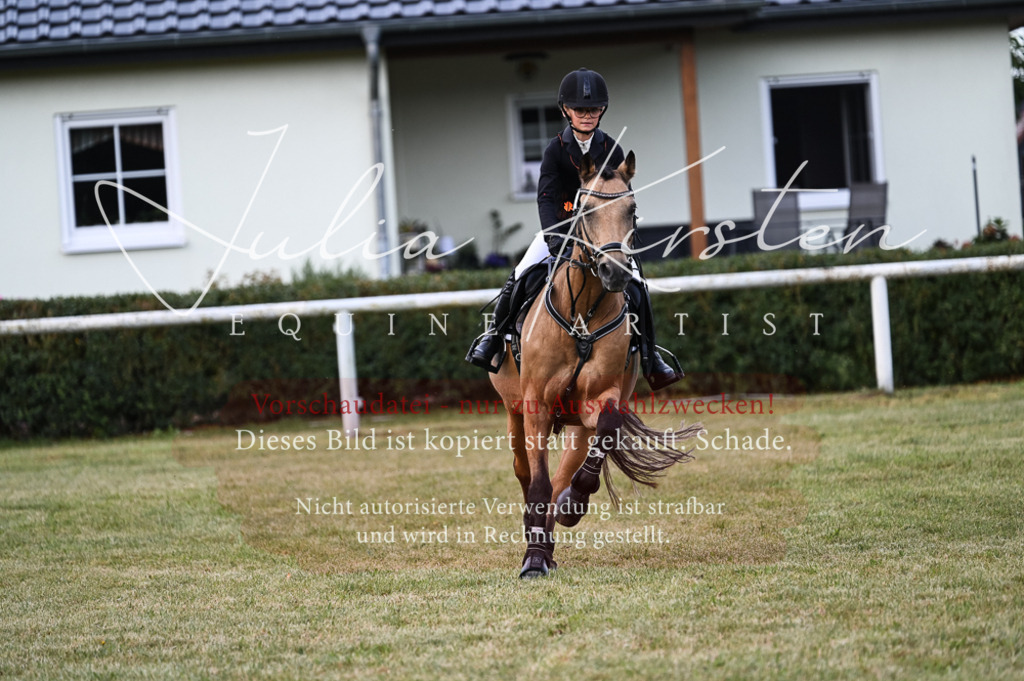 DSC_5603 | Pferde- und Turnierfotografie in Westsachsen. Pferdeportraits, Auftragszeichnungen und intuitive Kunst.