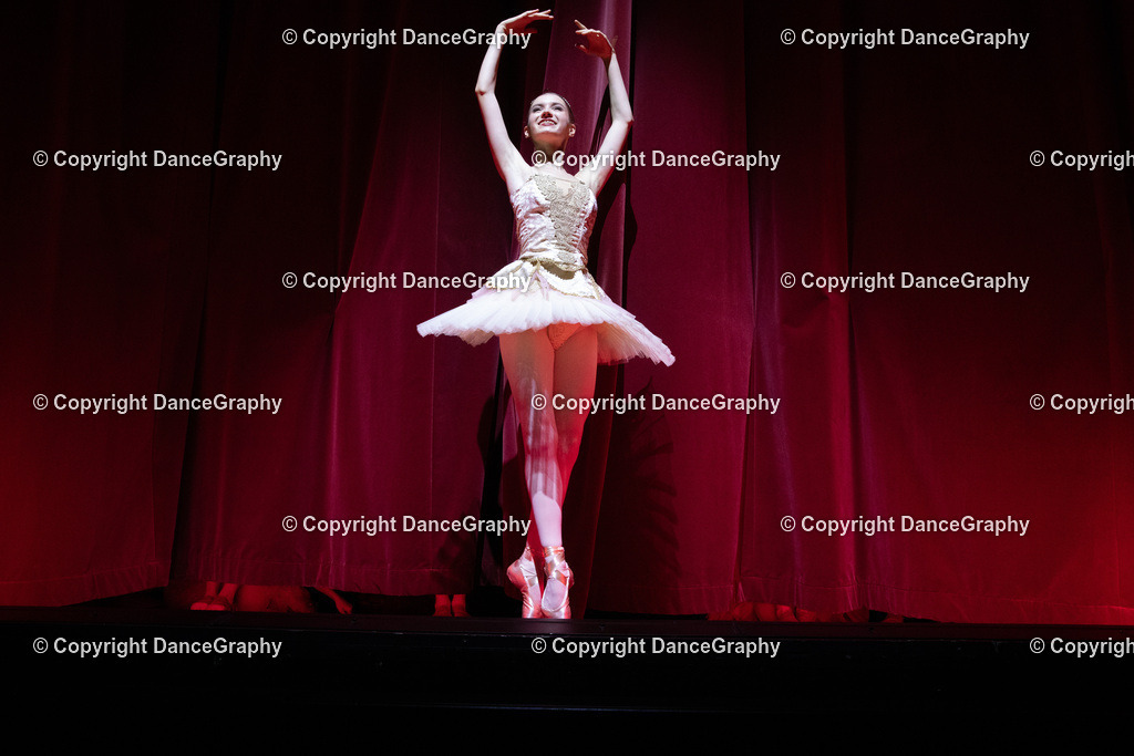 GPHY6454 | DanceGraphy - Realisiert mit Pictrs.com