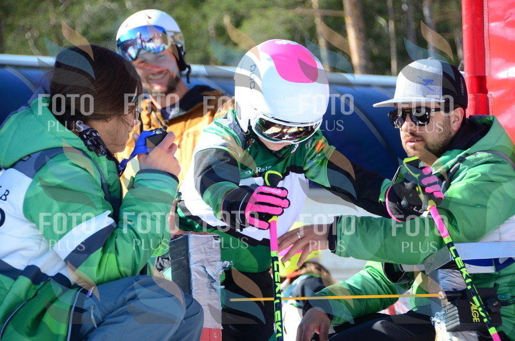 C5009 | holidayphoto