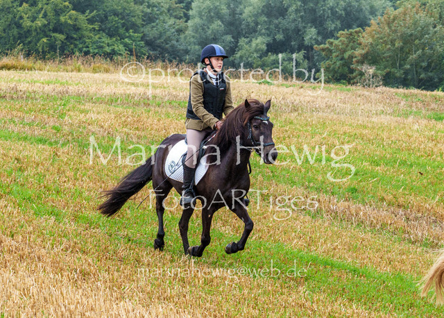 Jagd Kletkamp 26-02912_MarinaHewig | Fotografie, FotoArt, PferdesportArt, Pferdesportfotografie, Landschaftsfotografie, Reisefotografie, Reise, Pferde - Realisiert mit Pictrs.com