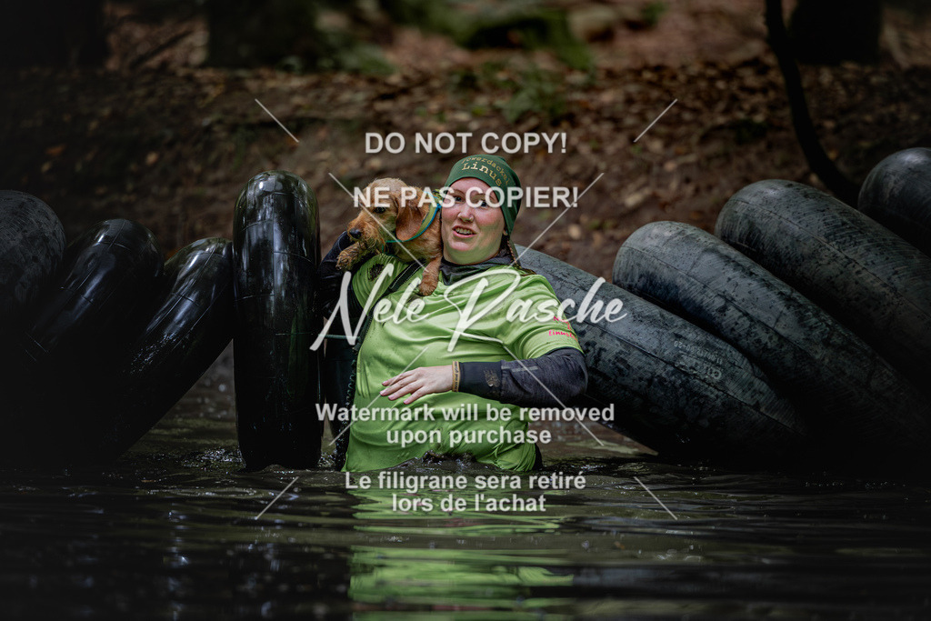 nelerasche_SaWingst1230-1300_75 | nelerasche