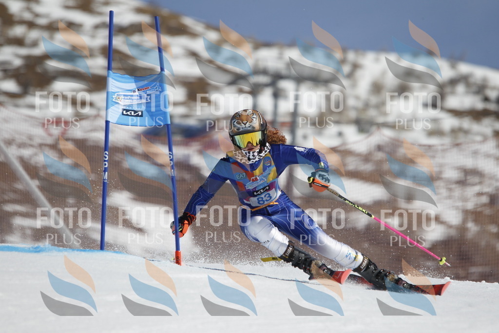 _U3G0048 | holidayphoto