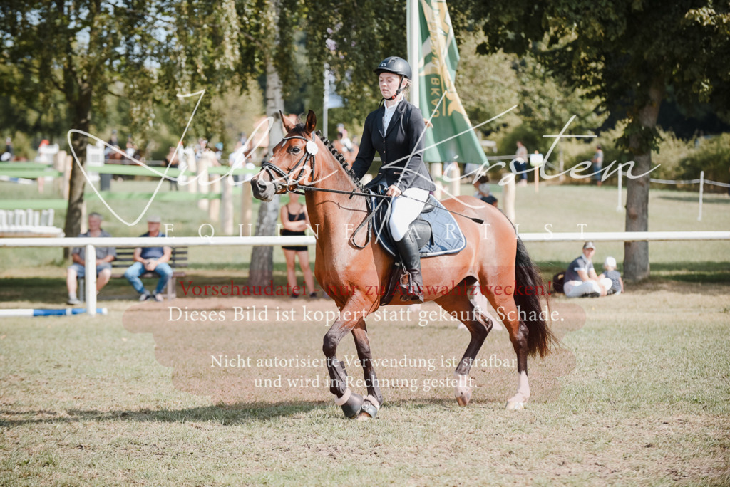 DSC_5326 | Pferde- und Turnierfotografie in Westsachsen. Pferdeportraits, Auftragszeichnungen und intuitive Kunst.