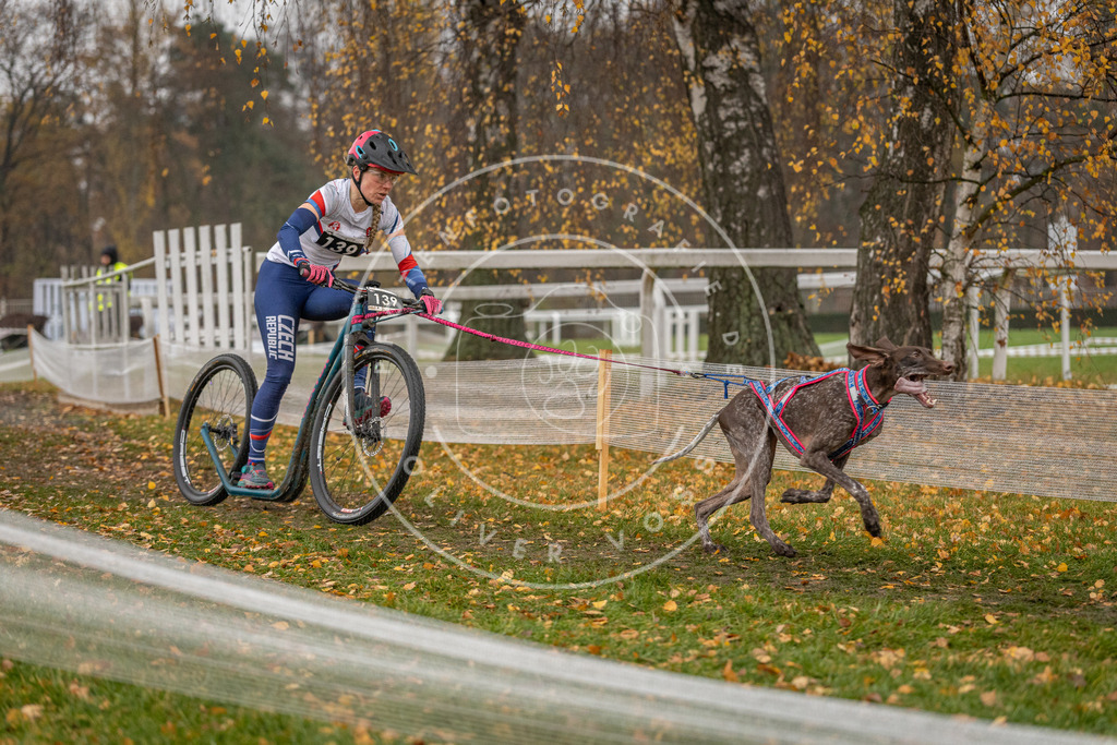 CaniXpix_DV3A7922 | Hundefotografie, Tierfotograf, Pfotenfotografie, Fotoshooting Hund, Hunde Portrait, Hundesport, Hundeportraits, Heideshooting, Hunde, Sportfotograf, Hundefotograf, Turnierhundsport, THS,  - Realisiert mit Pictrs.com