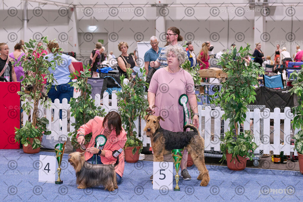 202406_ÖKV-IHA-Tulln24_NZ9_8668 | proPHOTO - Realisiert mit Pictrs.com