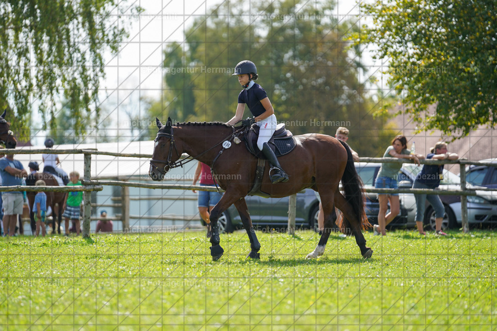20230917-FAH09553 | Landsberg am Lech, 2023, Kaufbeuren, Kempten, Allgäu, Turnierfotografen Bayern, Fotoagentur Herrmann, Turnierbilder, Reitsport Fotos, Pferdefotograf, Augsburg, Bad Tölz, Dachau, Karlsfeld, Memmingen, Buchloe, Schwabmünchen