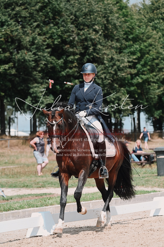 DSC_3900 | Pferde- und Turnierfotografie in Westsachsen. Pferdeportraits, Auftragszeichnungen und intuitive Kunst.