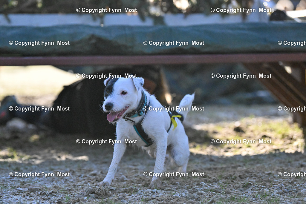 DSC_1925 | Hallo und herzlich Willkommen auf meiner Shop-Seite Fynn Most.

Ich wünsche Dir viel Spaß beim stöbern durch die Bilder, wenn Du Fragen hast oder Bilder vermisst, kannst du mir gerne eine Nachricht schreiben. - Realisiert mit Pictrs.com