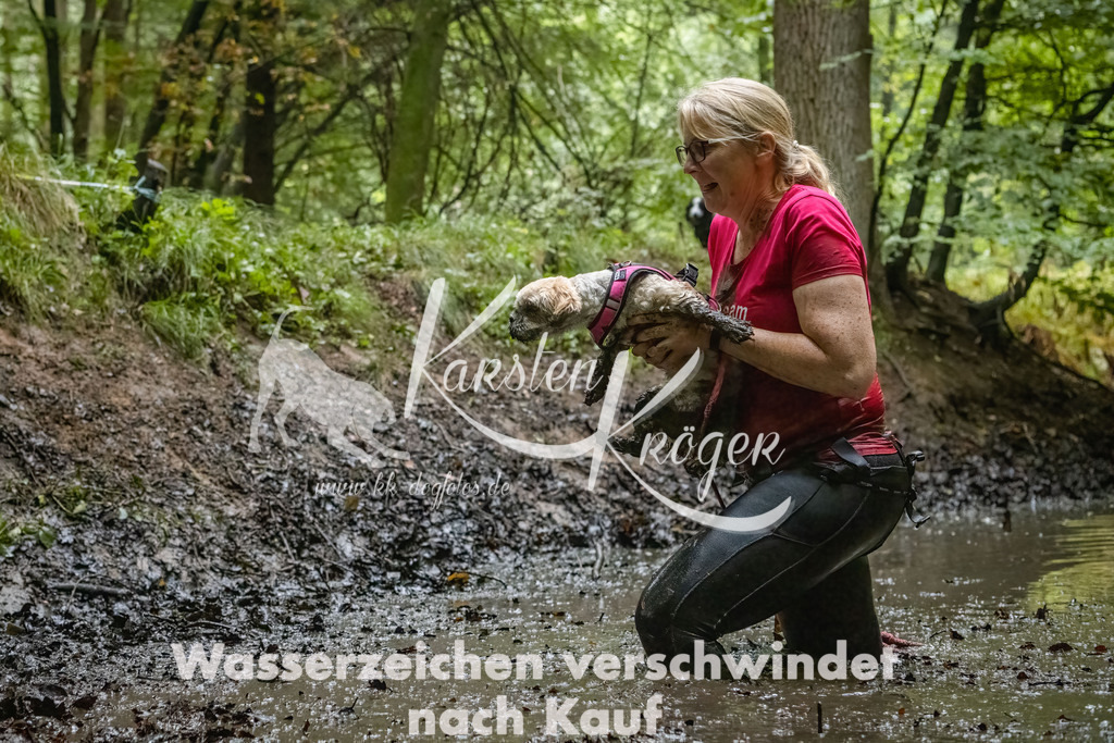 1144_ZZ91288-Bearbeitet-2 | kk-dogfotos