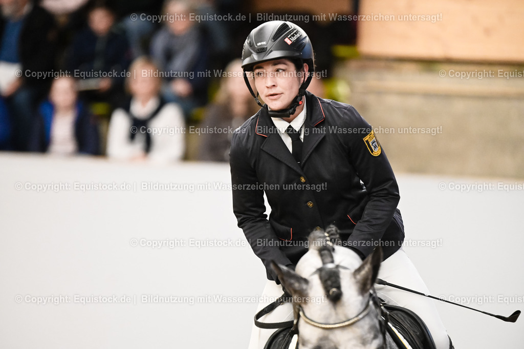 20260307_Hengstvorstellung-Marbach_0111 | equistock