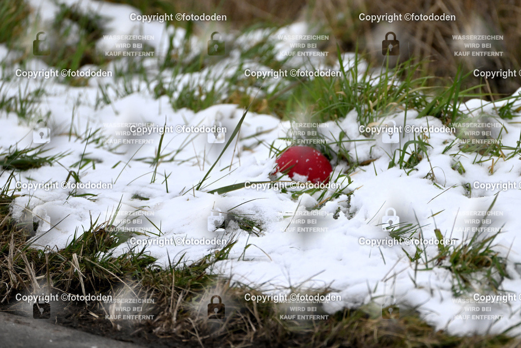 DSC_1834 | fotododen.de präsentiert ein umfangreiches Sportfoto Archiv mit Aufnahmen aus verschiedenen Sportarten im Raum Ostfriesland.