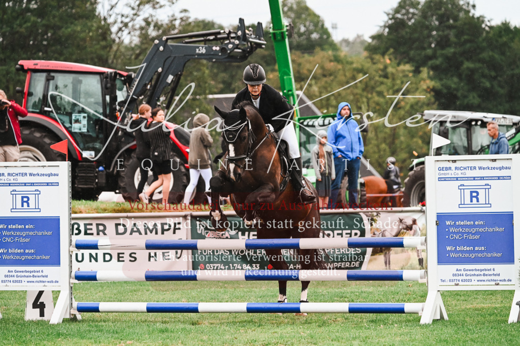 DSC_6315 | Pferde- und Turnierfotografie in Westsachsen. Pferdeportraits, Auftragszeichnungen und intuitive Kunst.