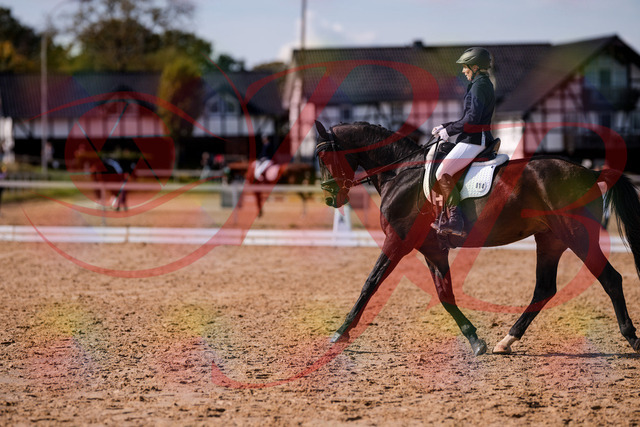 2026_10_03_Siefer-Hof_133852_Z81_97931934 | Professionelle Reitsport-, Turnier- und Eventfotografie von Robert Broda. Galerien mit ausgewählten und bearbeiteten Bildern direkt online ansehen und bestellen.