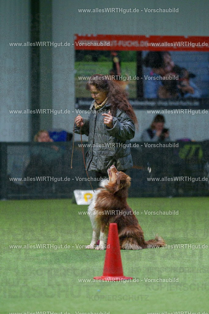 7R501199 | Professionelle Tierfotografie in Mönchengladbach von Daniel Wirth (allesWIRTHgut). Liebevolle & natürliche Bilder von Hunden & Katzen für unvergessliche Erinnerungen.