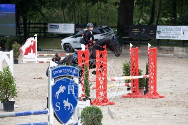 2B4A2338 | pixelfaenger - Realisiert mit Pictrs.com