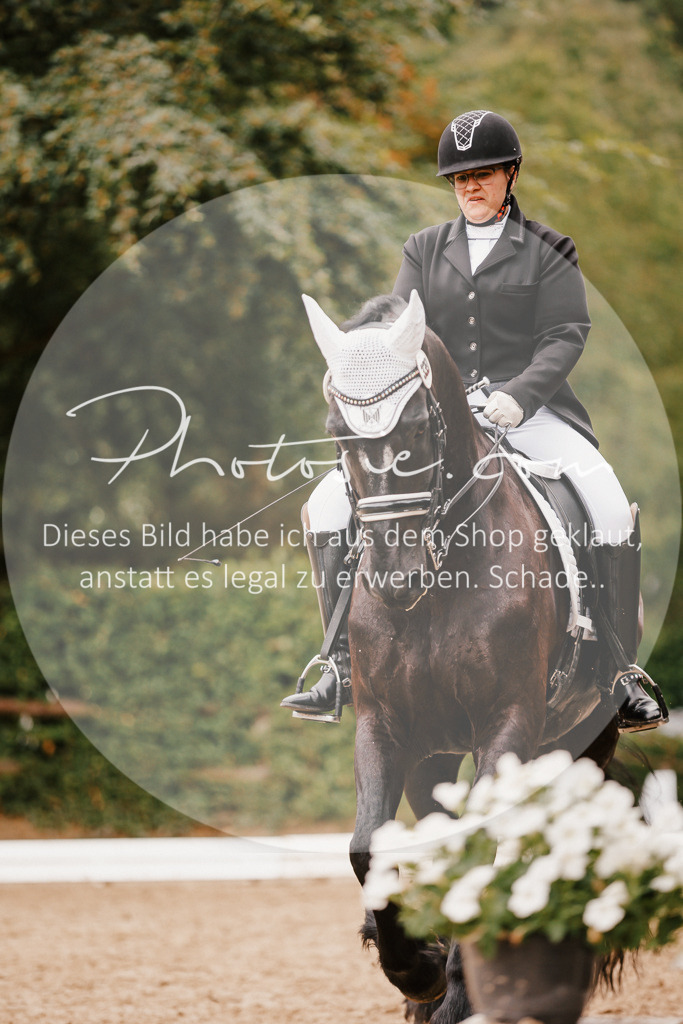 3I6A7733 | Stimmungsvolle Portraits und Reitsportfotografie im Ruhrgebiet und im Münsterland.

Pferdefotografie, Hundefotografie, Tierfotografie, Reportagen, Portraits von Tier und Mensch, Turnierfotografie in Bochum, Recklinghausen, Marl, Haltern am See, Dülmen.. - Realisiert mit Pictrs.com