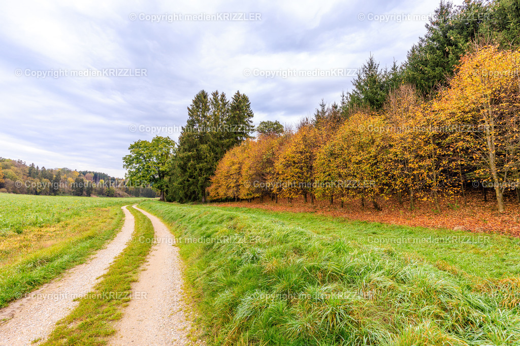 _J3A8827 | medienkrizzler - Realisiert mit Pictrs.com