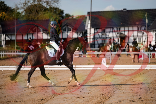 2026_10_03_Siefer-Hof_113524_Z63_21254381 | Professionelle Reitsport-, Turnier- und Eventfotografie von Robert Broda. Galerien mit ausgewählten und bearbeiteten Bildern direkt online ansehen und bestellen.