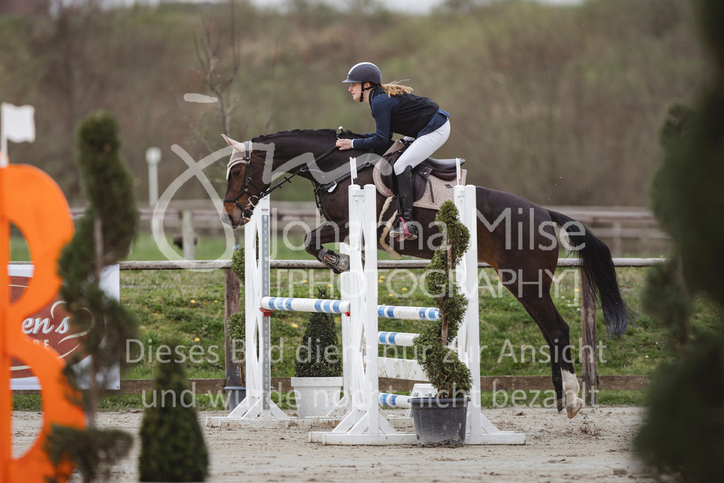 240330_Fruehlingsfest_Stil-A2-1-646 | Deine schönsten Turniermomente als professionelle Fotos! Entdecke hochwertige Pferdesport-Fotografie im Online-Shop. Jetzt Fotos finden & bestellen!